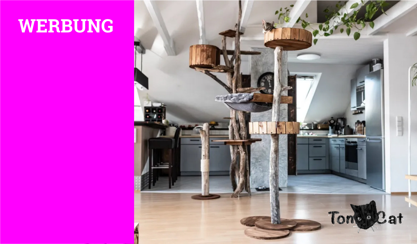 Kratzbaum Katze modern handgemacht natur XXL